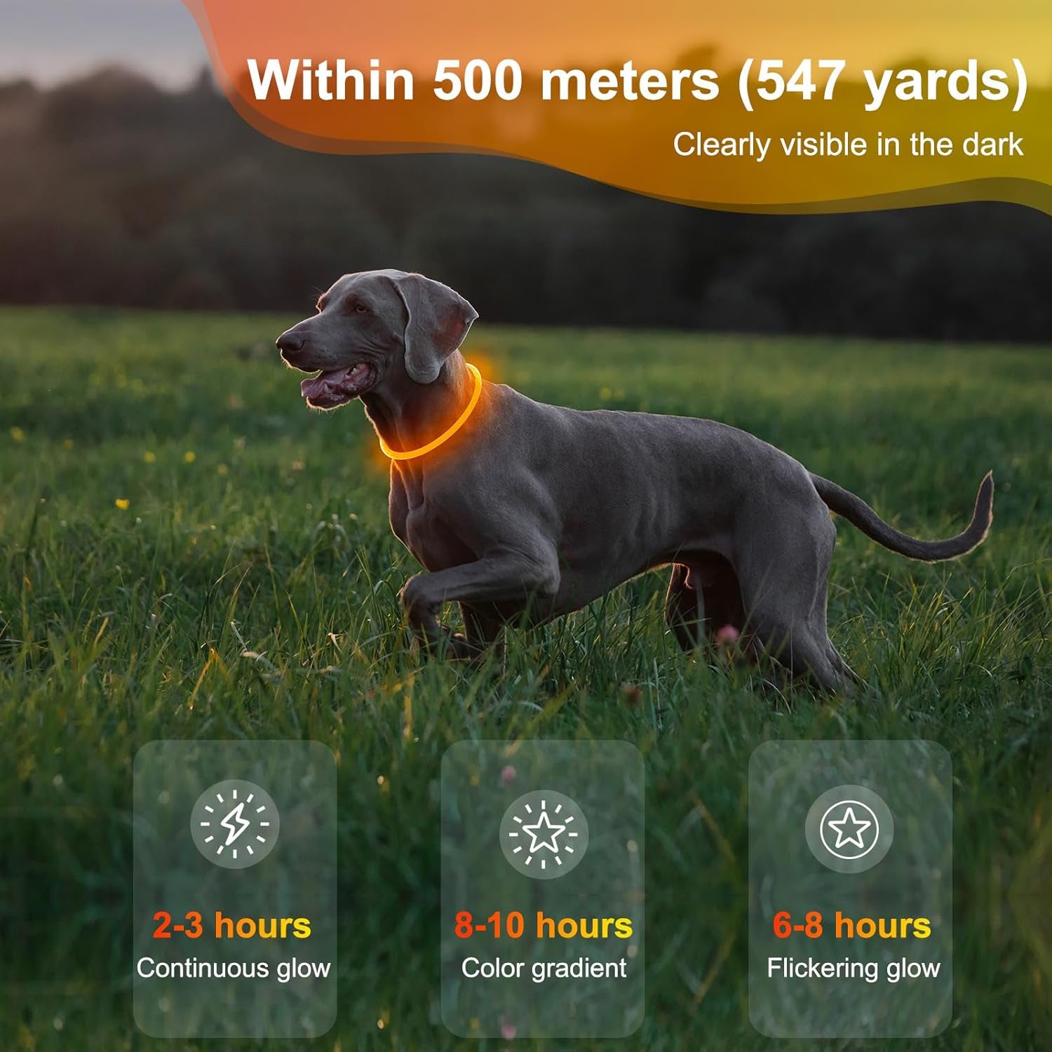 Rechargeable Waterproof Lighted Dog Collar - High Visibility Glowing Accessory for Night Walking (Orange)