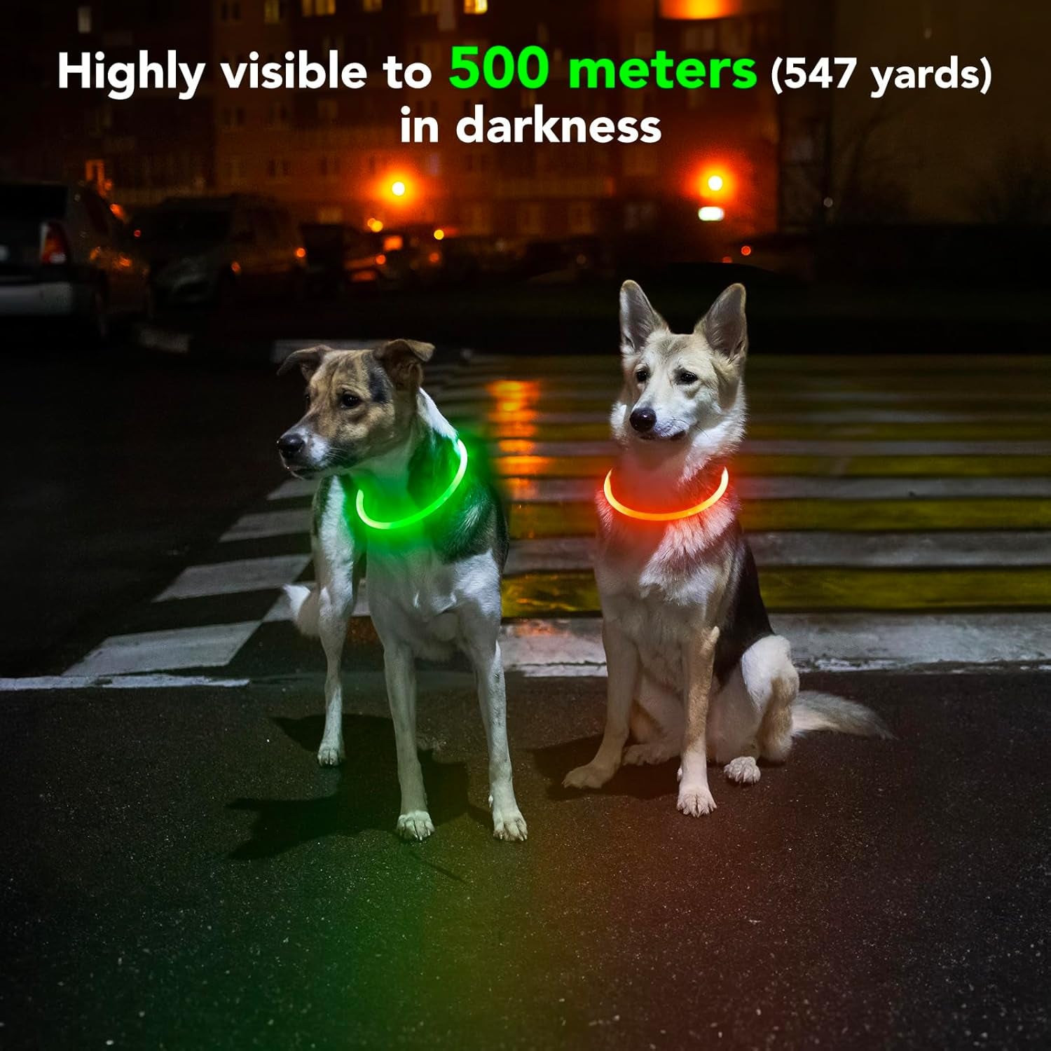 Rechargeable Waterproof Lighted Dog Collar - High Visibility Glowing Accessory for Night Walking (Orange)