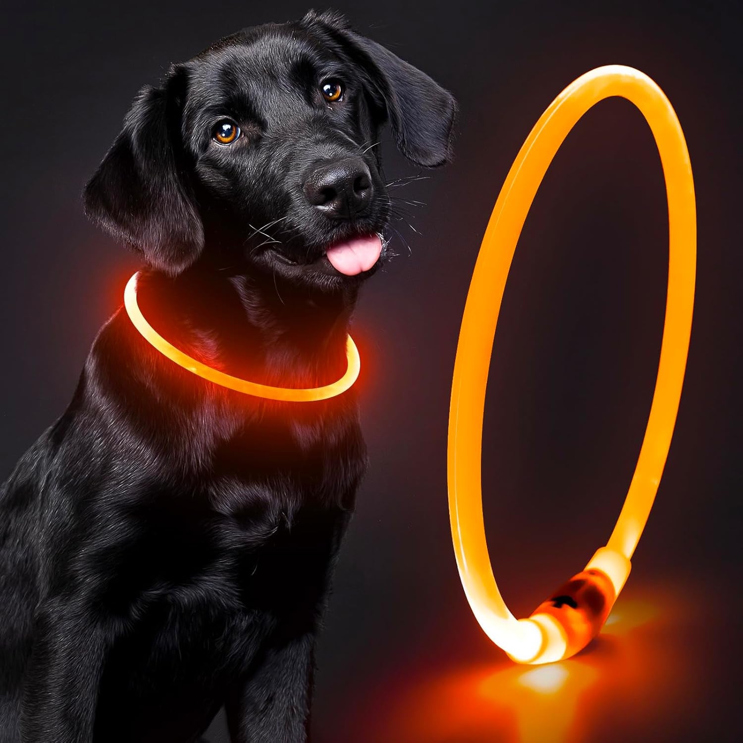 Rechargeable Waterproof Lighted Dog Collar - High Visibility Glowing Accessory for Night Walking (Orange)