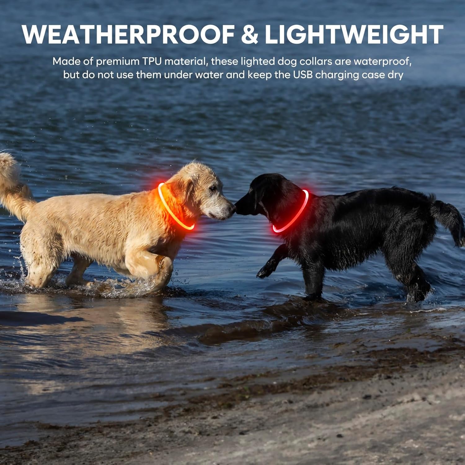 Rechargeable Waterproof Lighted Dog Collar - High Visibility Glowing Accessory for Night Walking (Orange)