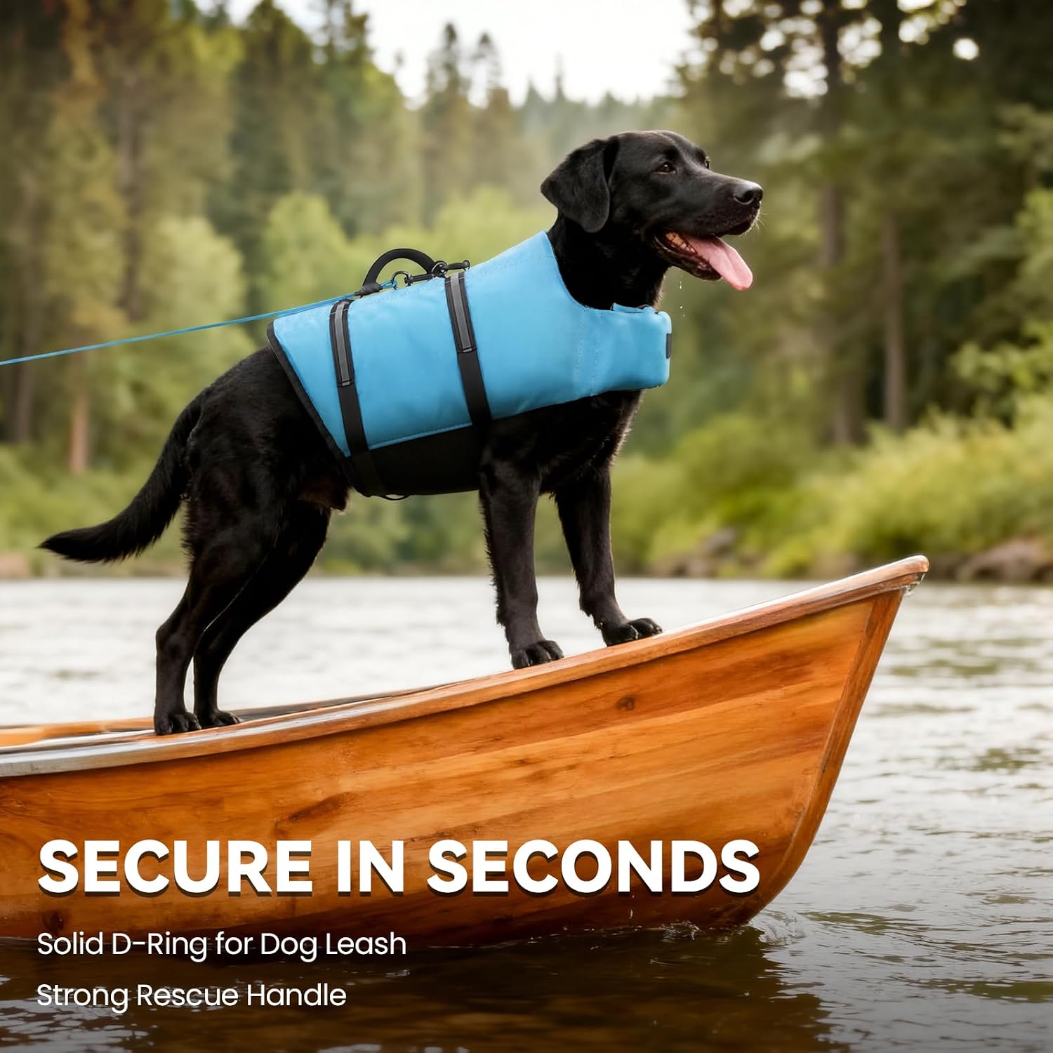 Ripstop Dog Life Vest with Handle - Buoyant Swimming Jacket for Dogs and Puppies, Medium, Blue
