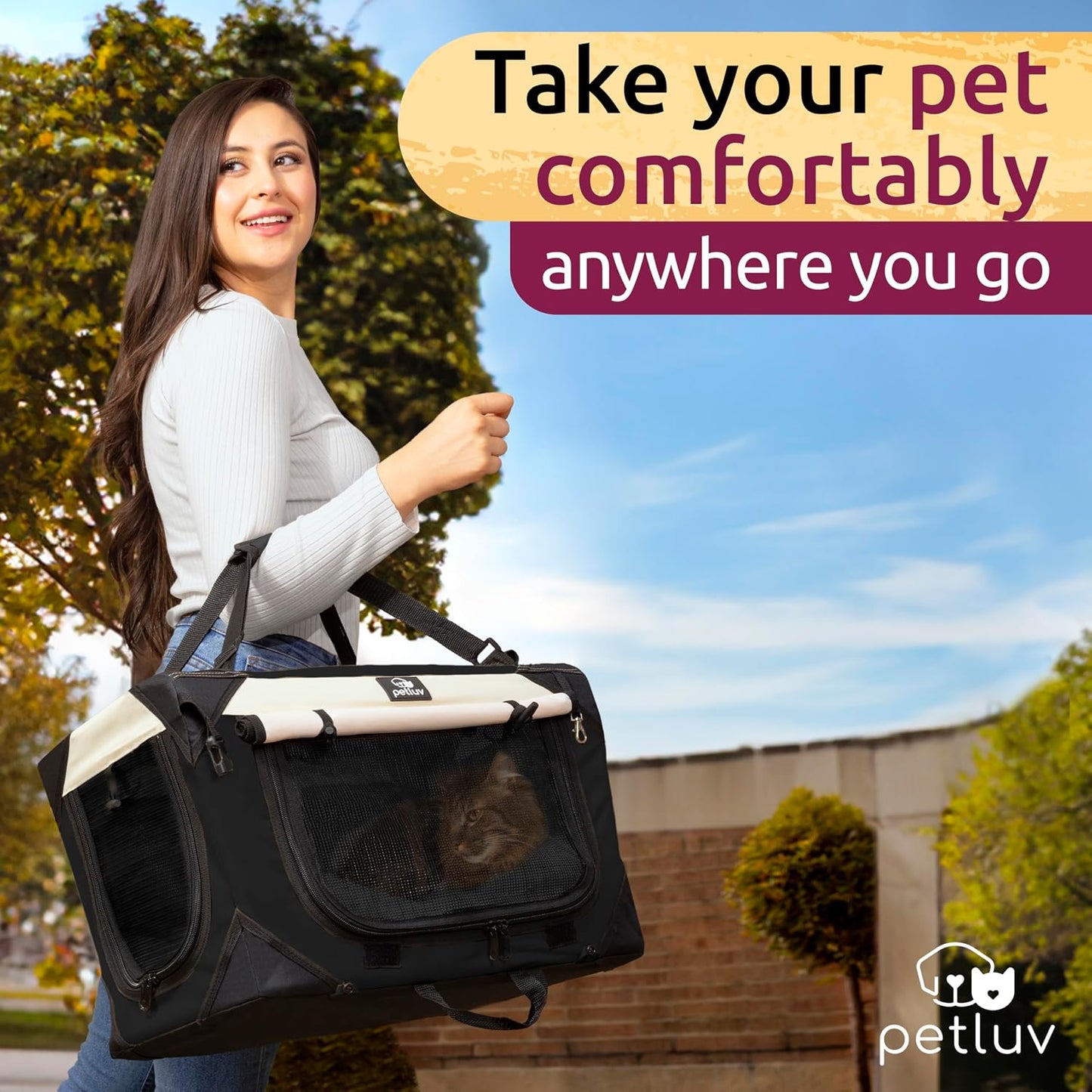 Soft-Sided Medium Pet Carrier for Cats and Small Dogs, 20"X13"X13", Ideal for Travel and Vet Visits, Features Privacy Windows, Removable Plush Bed, Locking Zippers, and Folds Flat for Easy Storage