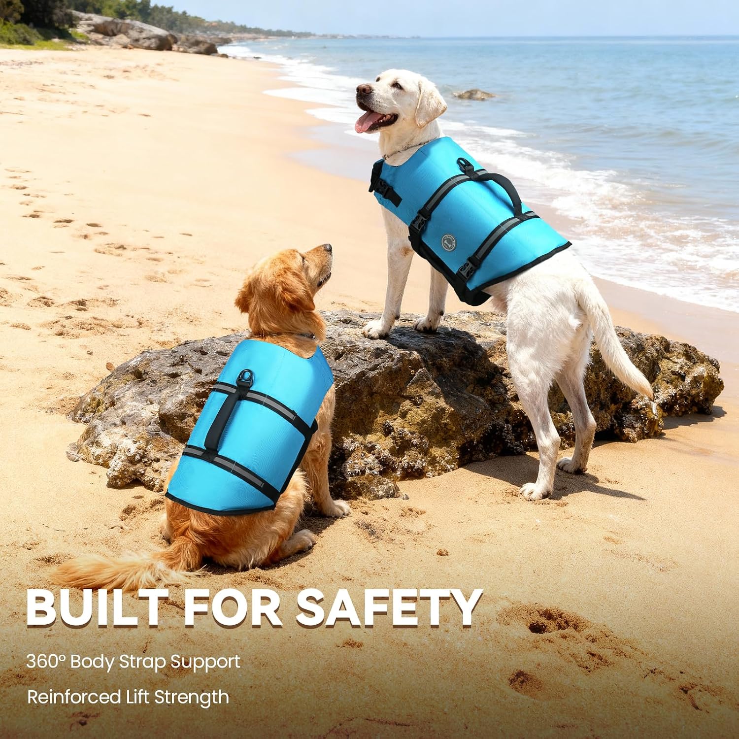 Ripstop Dog Life Vest with Handle - Buoyant Swimming Jacket for Dogs and Puppies, Medium, Blue