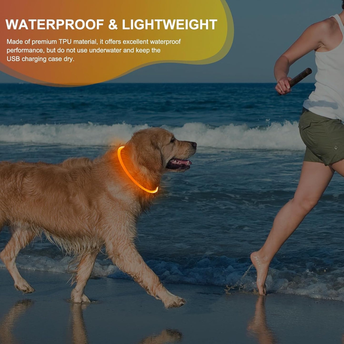 Rechargeable Waterproof Lighted Dog Collar - High Visibility Glowing Accessory for Night Walking (Orange)