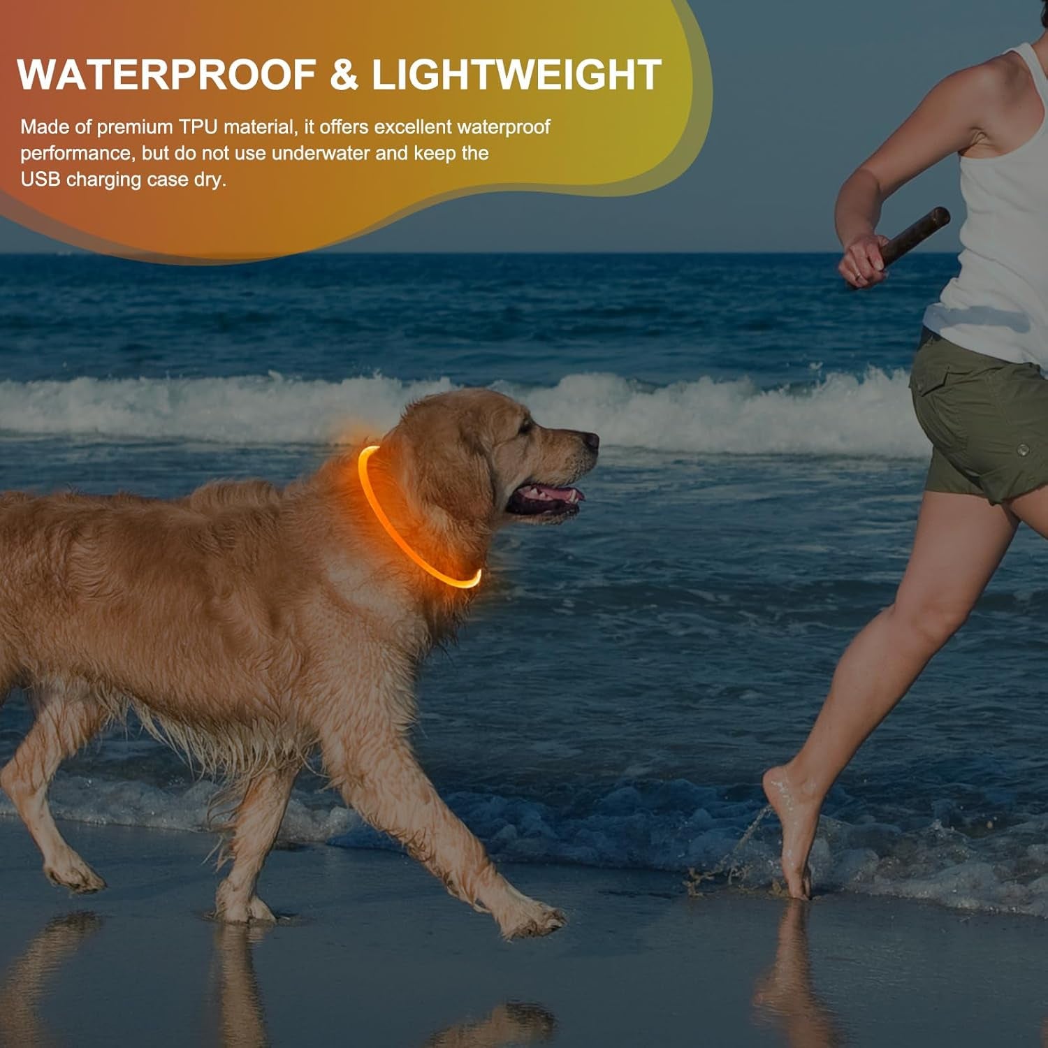 Rechargeable Waterproof Lighted Dog Collar - High Visibility Glowing Accessory for Night Walking (Orange)