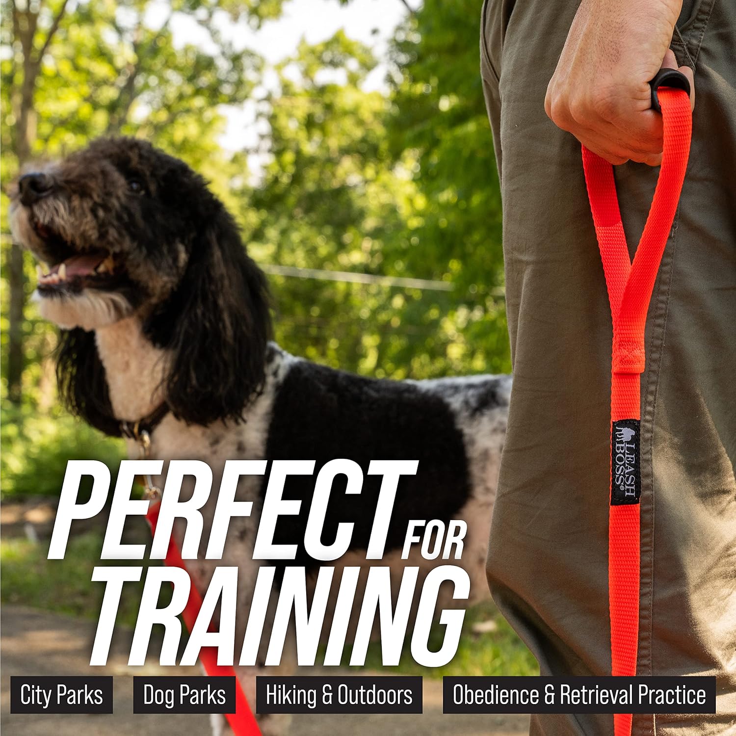 Free Range Long Dog Leash for Large Dogs with Drawstring Backpack - 1-Inch Nylon Training Lead with Padded Handle (Black, 30 Ft)