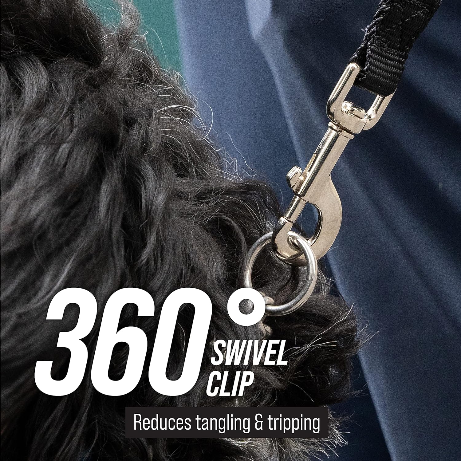 Free Range Long Dog Leash for Large Dogs with Drawstring Backpack - 1-Inch Nylon Training Lead with Padded Handle (Black, 30 Ft)